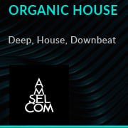 House - Downtempo