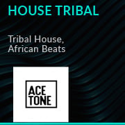 House - Tribal